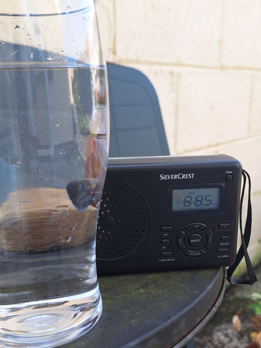 Gardening and @RTEsport 
And a lot of water! 🤣
#SunnySaturday