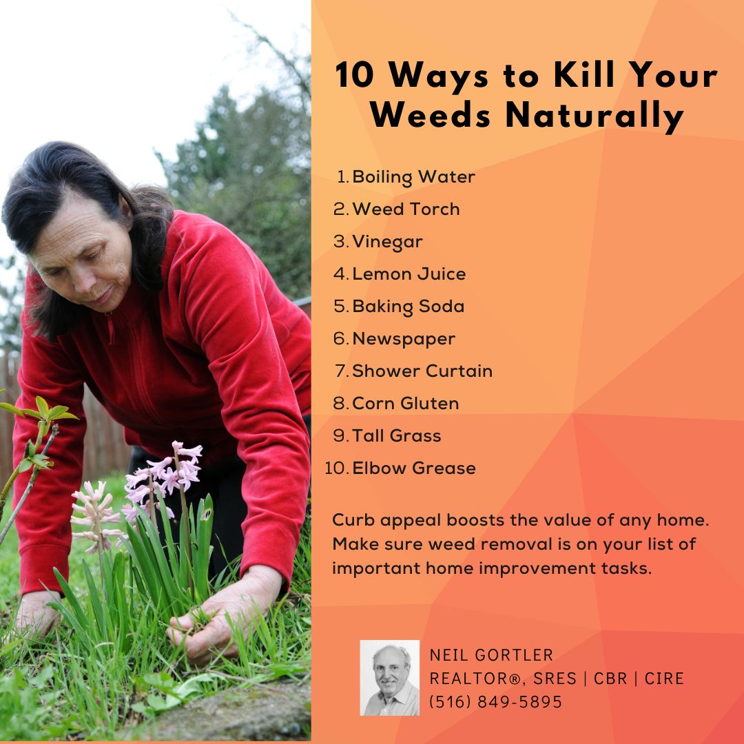8 Ways to Kill Your Weeds Naturally
---
#realestate #Greatneck #Bayside #Littleneck #realtor #sellingahome #buyingahouse #diy #homeownertips #hometips