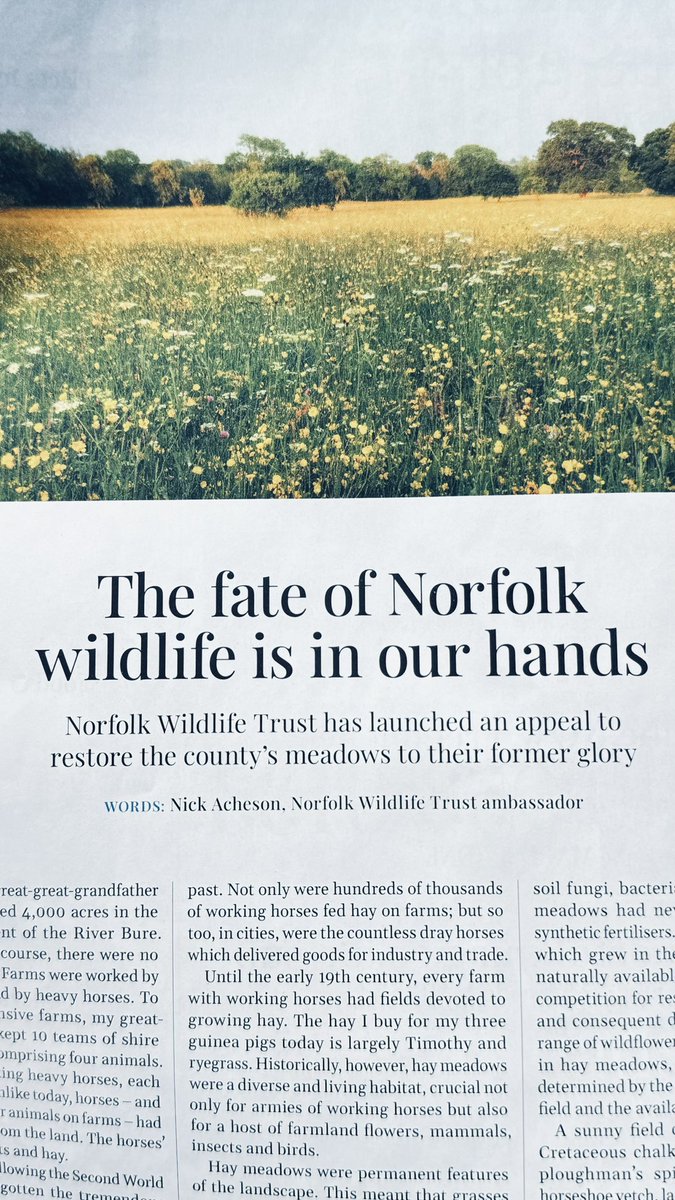 A heartfelt explanation for the preservation of our precious environment and wildlife . If there was ever a good reason for the immediate cancellation of this doomed road this is it. @NorfolkCC take note. ‘ We have a vision of a Norfolk in which skylark song is everywhere in