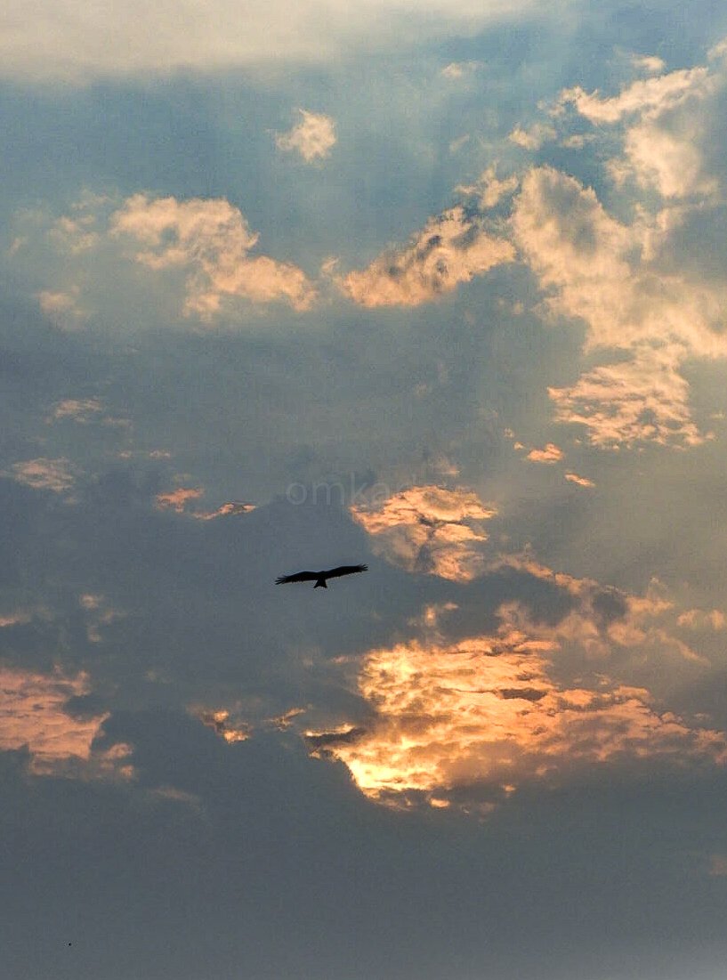 Just before the rains...

@Pravin7757 सर, आज background चा धडा पूर्ण करुन assignment पण पूर्ण केली 🙏

#theme_pic_India_birds 
#clickforIndia