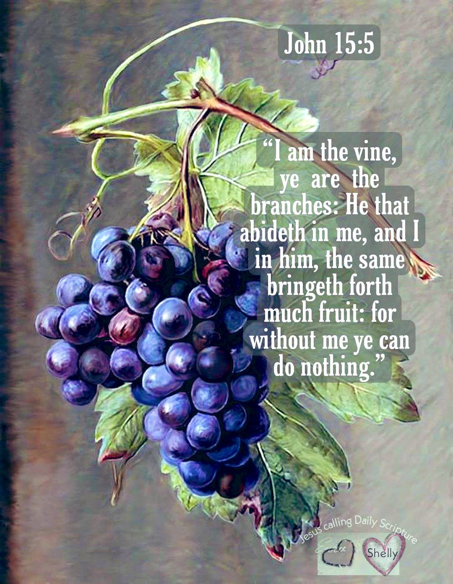 John 15:4-5 Abide in Me, & I in you. As the branch cannot bear fruit of itself,except it abide in the vine;no more can ye,except ye abide in Me. 5 I am the vine, ye r the branches:He that abideth in Me, & I in him,the same bringeth forth much fruit: 4without Me ye can do nothing.