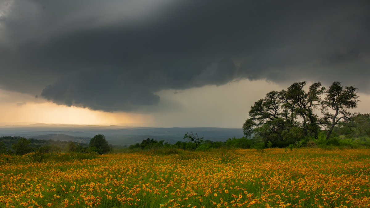 312Will's tweet image. What an absolutely mindblowing, amazing, humbling, elemental, cosmic, beautiful treat of a month it has been in Texas.
The universe is awesome.🥰