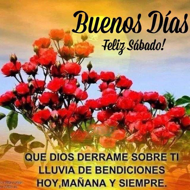 ¡¡Buenos días gente linda de X, que tengan un maravilloso día sábado!!🙏🥰🌹🌞