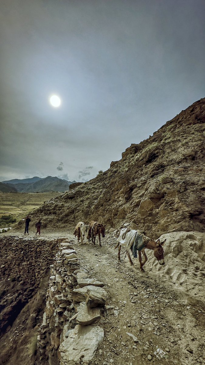 Nuristan
Nurgaram District 
نورستان
ولسوالی نورگرام

Photography: Muhammad Haris 
عکاس: محمد حارث