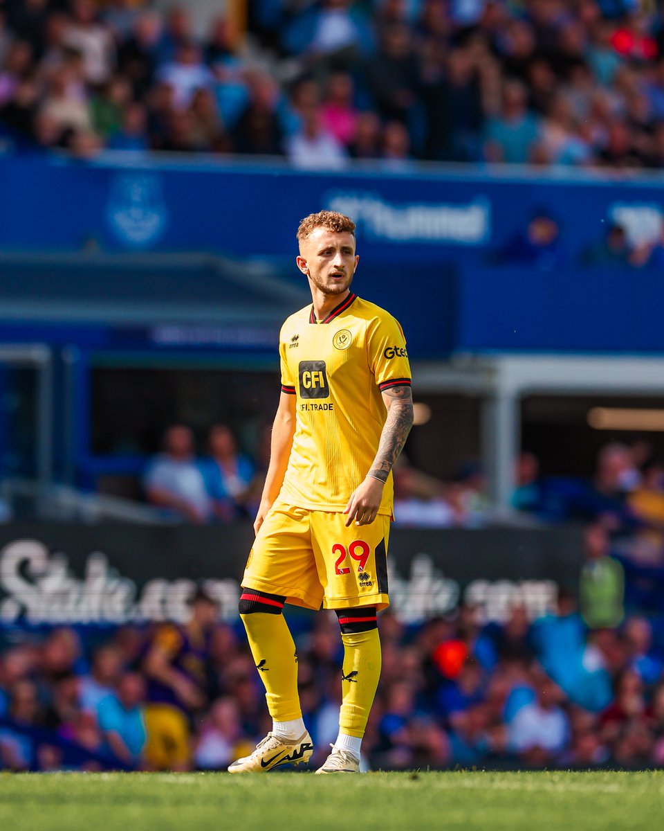 SheffieldUnited's tweet image. 🇮🇪💫