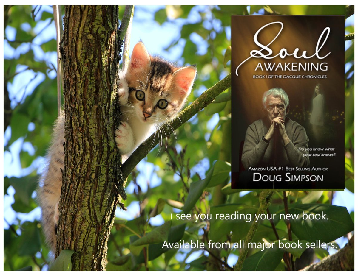 Now only $0.99! I see you! amazon.com/Soul-Awakening…