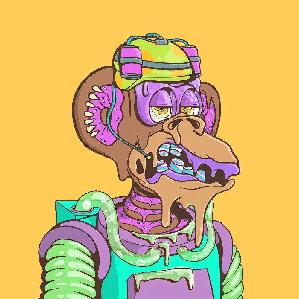 Yannis DrY21 💣🟡 tweet media