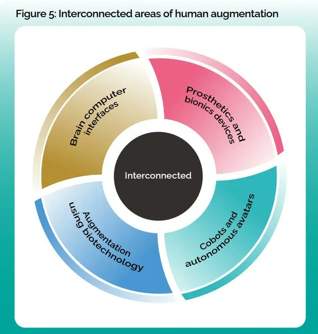 Four main areas of human augmentation collectively help to supplement, enhance, restore, replicate, and stimulate our natural capabilities and senses. Source @Atos Link bit.ly/3UTlHSt rt @antgrasso #DigitalTransformation #CEO