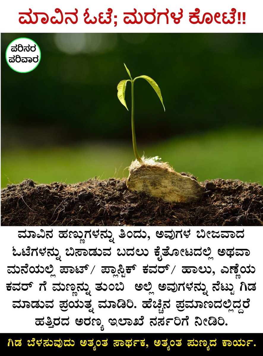 'ಹಣ್ಣುಗಳ ರಾಜ' ಮಾವಿನ ಹಣ್ಣಿನ ಋತು ಪ್ರಾರಂಭವಾಗಿದೆ. ಮಾವಿನ ಓಟೆ (Seed) ಗಳನ್ನು ಕಸದ ಬುಟ್ಟಿಗೆ ಹಾಕದೆ, ಅವುಗಳು ಗಿಡವಾಗಿ ಬೆಳೆಸಲು ಪ್ರಯತ್ನಿಸೋಣ!!