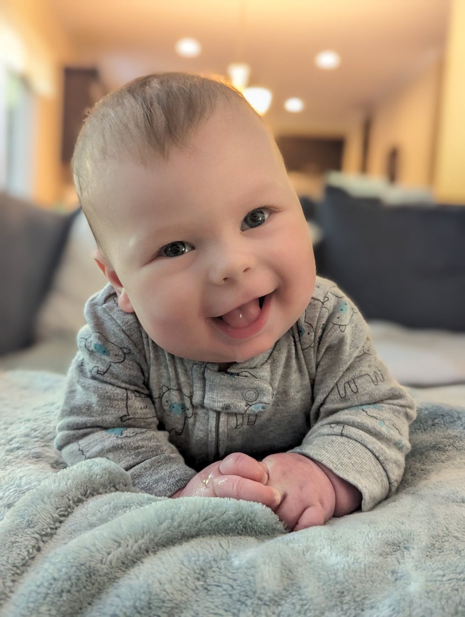 MarkstromTV's tweet image. Little fella makes every day more fun 🤗