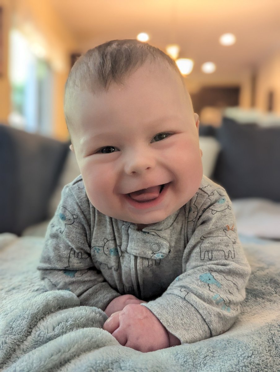 MarkstromTV's tweet image. Little fella makes every day more fun 🤗