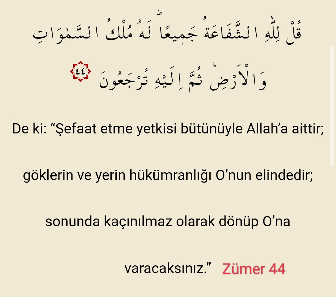 Muhammet Odabaş (@muhammetodabas) on Twitter photo 