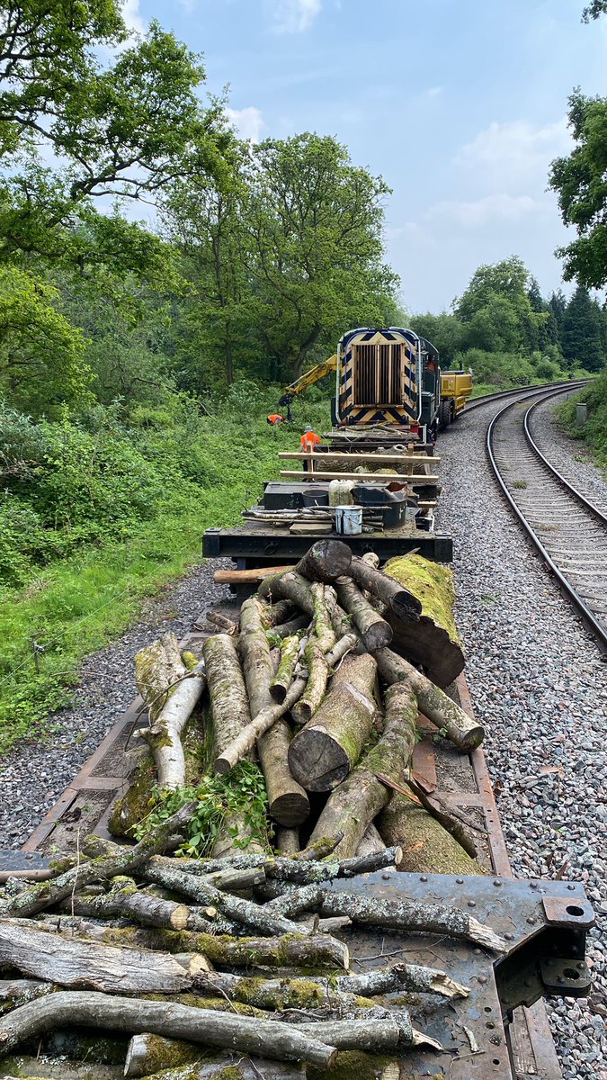Part of today was clearing wood from lineside while the steam service was down the line. #deanforestrailway