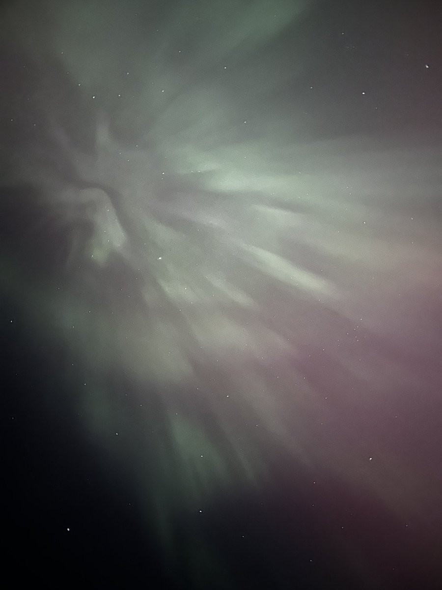 Lisa Sullivan tweet media