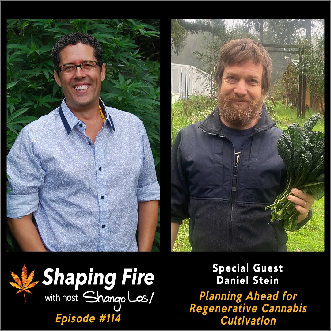 ShapingFire's tweet image. .@ShangoLos talks with Daniel Stein of Briceland Forest Farm about building soil, placement of structures, using soil inputs found on your property, water sequestration, cover crops, companion planting, animal husbandry and animal fertilizers. ShapingFire.com