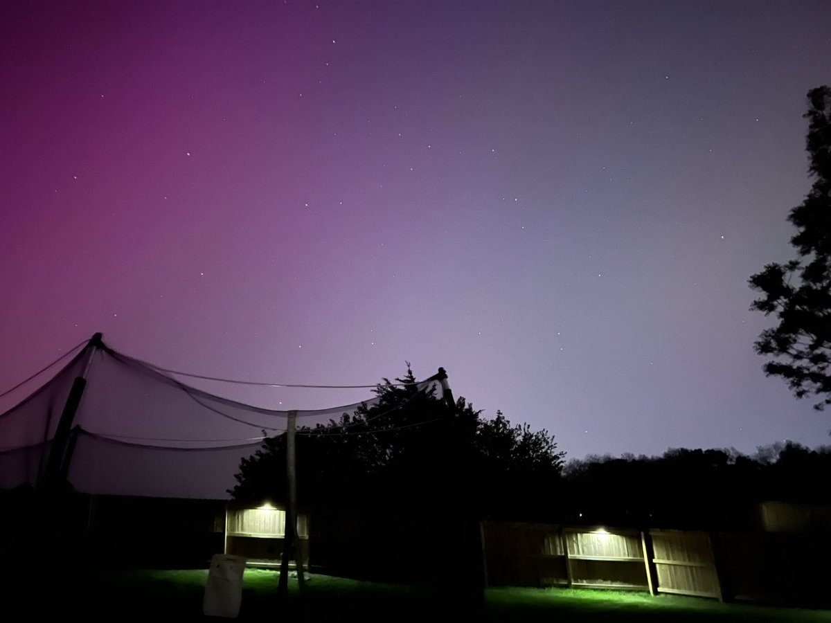 coachmcquillan's tweet image. Awesome views last night 🌌

#NorthernLights #NatureViews