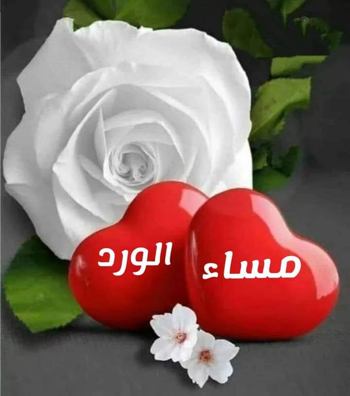 <a href="/w__es/">αℓ τнαнαвi🩵 ⁦</a> <a href="/F_N__313/">✍ الذيـــب</a> <a href="/abo__ja3far/">أبو جعفر 🅰️+</a> <a href="/hh__h21/">حيدر العراقي</a> <a href="/hs____34/">‏👑◈ سہأقہيہ ألوفہه ◈</a> <a href="/Bbbwer5/">جمعه العتاك</a> <a href="/AL_SHREFEE/">💯 sed_ali💯</a> <a href="/sammr3/">ᏕᎯᗰᎯᖇ</a> <a href="/nhyd71834575/">برداوسلاما</a> <a href="/ka_aljazayiriu/">كوثر الجزائري</a> <a href="/hseanahmad61747/">محمد باقر</a> <a href="/fitma_ali/">ύgɹ̈Lᓘ 𓆩𓅆𓆪๛</a> <a href="/Faris_Aly_/">ۛ ּا̍ﻷ̍دٻۧب ♛</a> <a href="/ta2wfeq/">صـــــــــرير قلم🖊tawfek 🇮🇶</a> <a href="/oso_i2/">𝑤𝑖𝑠𝑎𝑚 🇮🇶</a> <a href="/MO_hh_jj/">🤍مـ๋͜‏ۿہجـ๋͜‏ـﮧة -1-🇮🇶💔🇵🇸💔🇱🇧</a> <a href="/love24478/">قاسم الحداد</a> <a href="/B_A_TT/">حمامة السلام🕊</a> <a href="/___ZMO___/">🇮🇶 ڗﯣمۘــﯜڔد🇮🇶</a> <a href="/AS0i_/">ح ♏ 🅰️ Ⓜ️ 🅰️ 🕊️</a> <a href="/wu___m/">مـلّــآمــح مـاي...</a> <a href="/zmabas83/">🅰️حازمⓂ️</a> <a href="/thedark5000/">THE DARK</a> <a href="/r9gr4/">وئام العبدالله</a> <a href="/ill12970584/">*𝘚𝘢𝘳𝘢*</a> مساء الخيرات