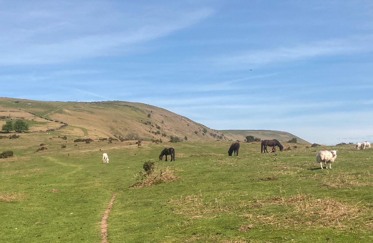 Land's End to Keswick Day 20: Pandy to Hay on Wye - 17.5 miles. Day 3 of @OffasDykePath A flawless walk. Fab weather, lovely breeze and a big stride out along the tops with views in all directions. Now to read a lot of books :-) 336 miles down.