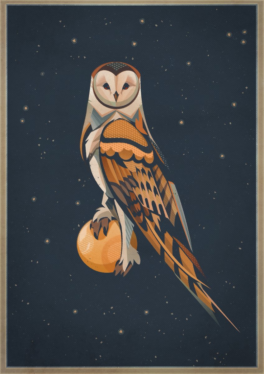 An Owl at Night