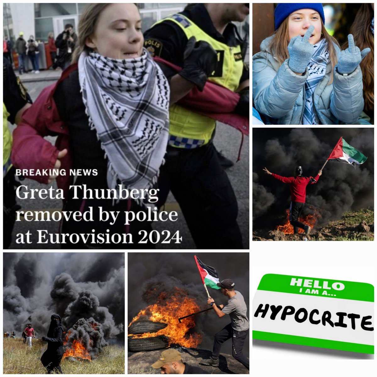 Hypocrite Arrested

A Keffiyeh Karen aka @GretaThunberg who was once a paid climate activists today supports Hamas that damages the environment was arrested at Eurovision protesting against a 20 year Jewish woman singing a song.
Who is paying Greta now?