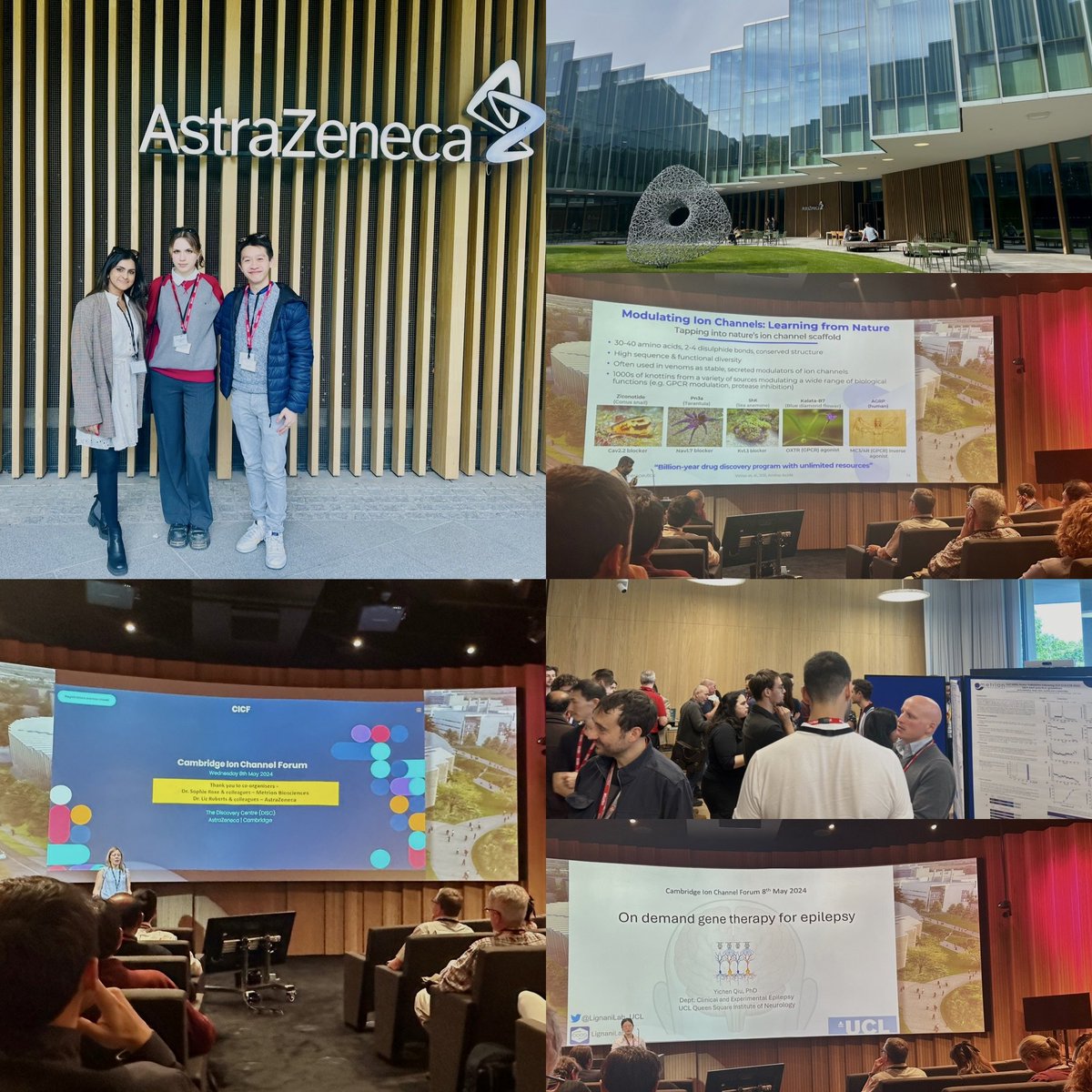 Last week, our lab members attended the Cambridge Ion Channel Forum hosted by @Metrion_Biosci & @AstraZeneca. Talks explored the latest in targeting ion channels in disease, highlighting their role in various disorders and promising new drug & gene therapies. #IonChannels @UCLIoN