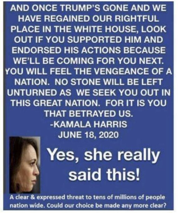 Never forget that this is what Kamala Harris said about Americans who exercised their right to vote for the candidate of their choice. Talk about a corrupt regime. #KamalaHarris