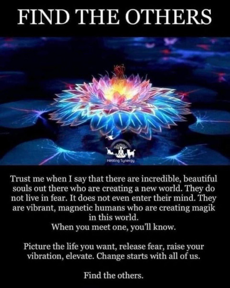 💫🪷 “FIND THE OTHERS” 🪷💫 Healing Synergy “Trust me when I say that there are incredible, beautiful souls out there who are creating a new world. They do not live in fear. It does not even enter their mind. They are vibrant, magnetic humans who are creating magik in this…