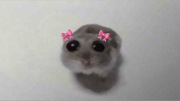 SWEETIE 💖💖💖
#Евровидение2024
 #Eurovision2024
