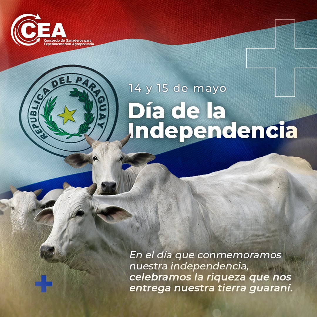 En el día de la Independencia, honramos a nuestra tierra guaraní 

¡Feliz día de la Independencia 🇵🇾!

#SomosCEA #SomosGanaderia