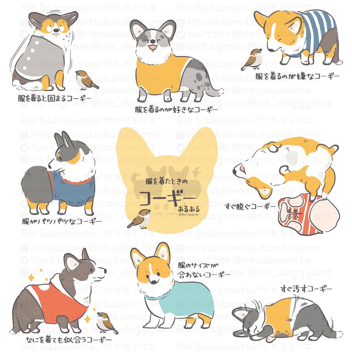 愛犬の日のコーギーあるある
#愛犬の日 