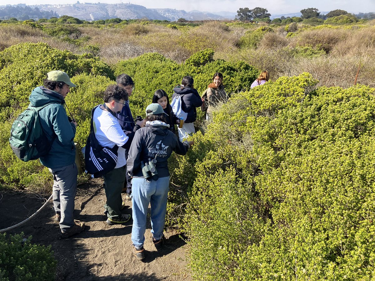 Carmen Espoz L. tweet media