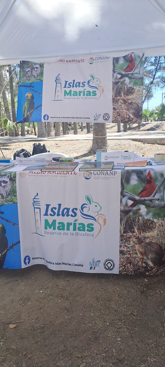 Interesantes pláticas y mucha información sobre la conciencia ambiental, en la expo ambiental de @sonplayas.

Me tocó regalo de semillas de mi jardín polinizador,  para plantarlas en mi ranchito. ¡Felicidades! y gracias por su labor