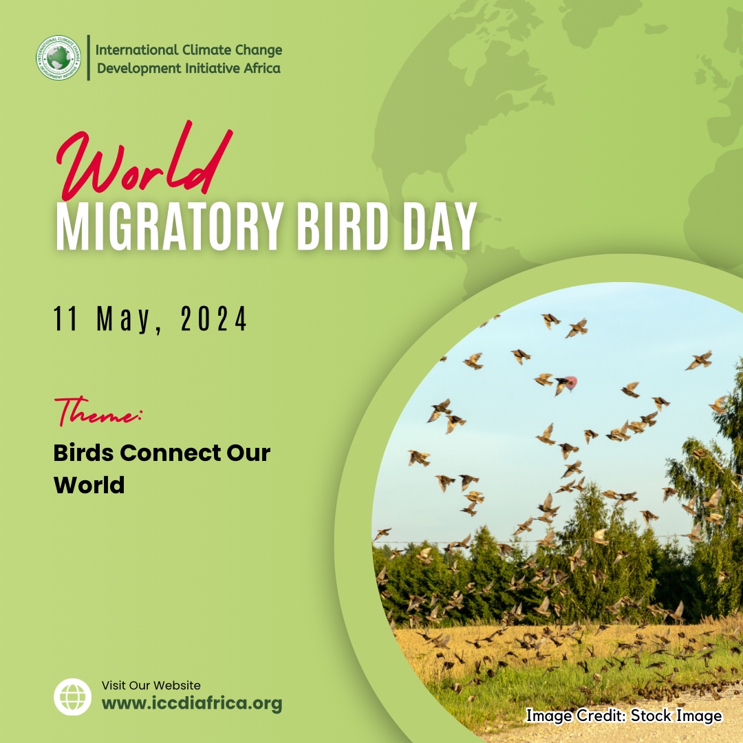 🐦 Happy #WorldMigratoryBirdDay! Let's celebrate the incredible journeys of our feathered friends as they travel thousands of miles, connecting continents and reminding us of the beauty of nature's migration. 🌍✨ Let's protect their habitats and ensure their safe passage for…
