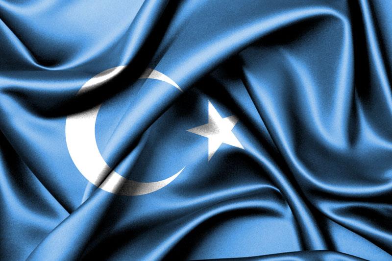 Doğu Türkistan çok mu ırak,
Nasıl yanmasın yürek!
Çekilmez oldu artık firâk. 

Tanrı dağlarından öz kardeşim,
Turfan,Aksu,Kâşgar öz yurdum
Türkistan,Türkistan benim ırkım.
#DoğuTürkistanınSesiOL