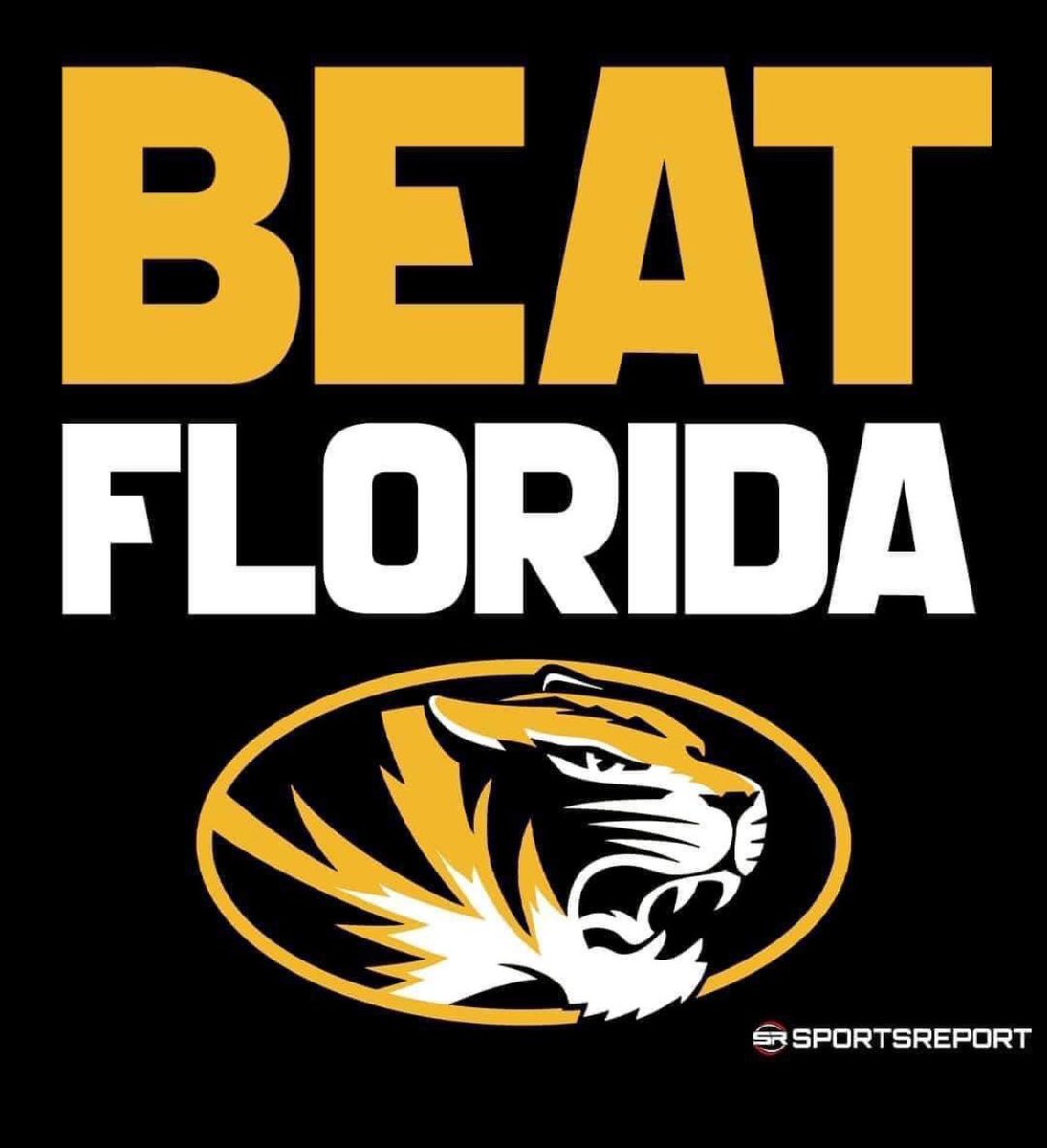 Let’s Go Mizzou Softball!!!