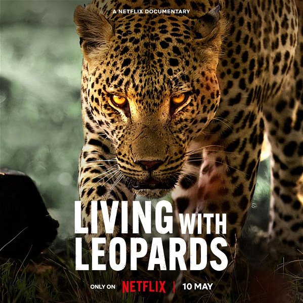 This is a good one, 'Living with Leopards,' if you love wildlife documentaries. A film crew follows leopards across Botswana's Okavango Delta. Beautifully shot, rich visuals of the wildlife, the leopards, and Okavango Delta, this documentary is better than NatGeo. Thumbs up 👍🏼