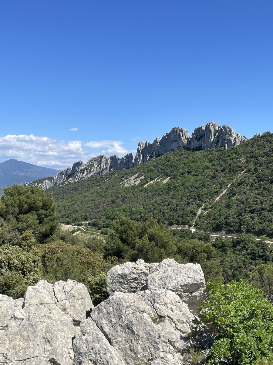 Les Dentelles de Montmirail 🤩 🥾
Forêt Communale de Gigondas 💚💙 ☀️