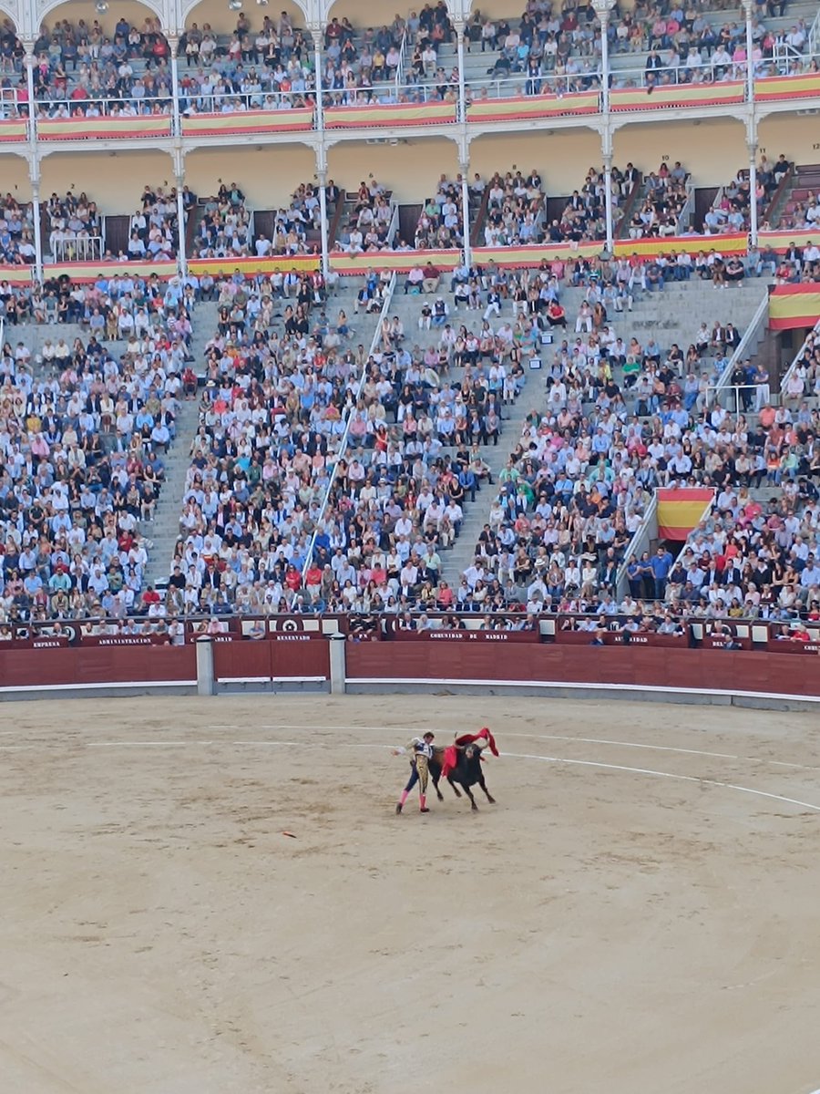Yo apoyo la #Tauromaquia
I hold bullfighting