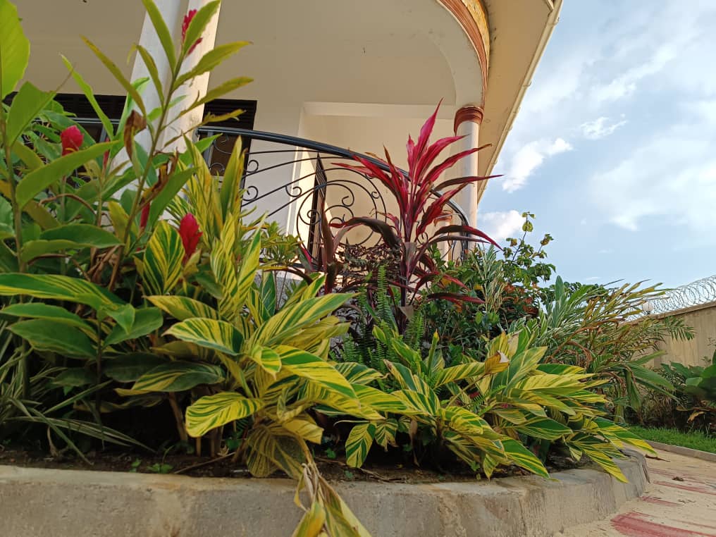 MAYA PROJECT
Foliage Plants are another trend in landscaping that you MUST try out. Choose plants of coloured leaves and arrange them in along a way, around the house. You will be amazed by the outcome.

CALL/ WHATSAPP- 0778623536
Let's Inspire Freshness
landscapeuganda.com