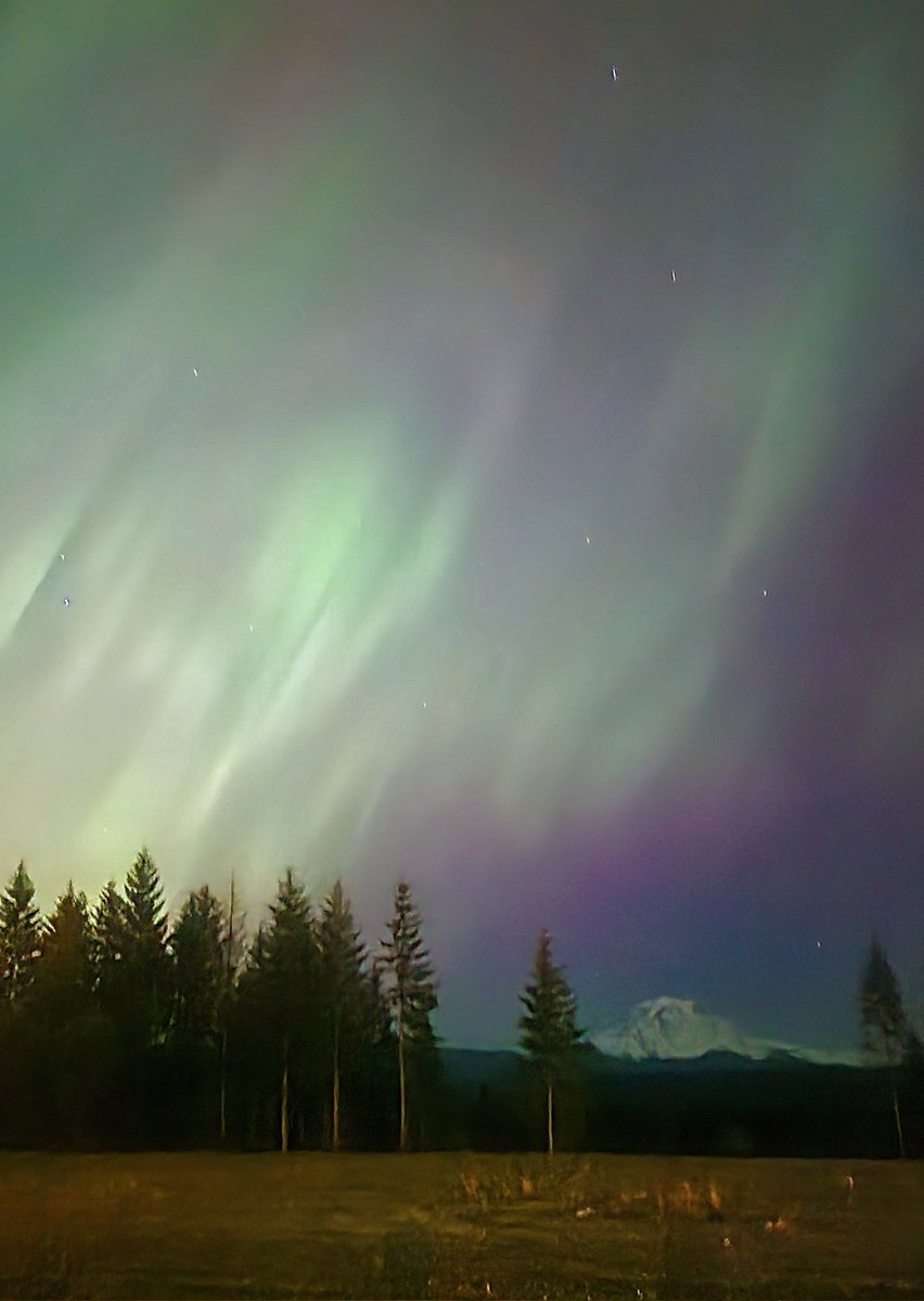 CindyVashon's tweet photo. I could cry it's so pretty #Auroraborealis https://t.co/p5GrkSrEg2