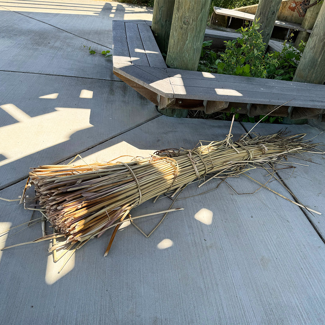 cachecreekcnsrv's tweet image. Immerse yourself in a part of CA Native lifestyle by learning to gather and use Tule, or Tlaka in the Wintun language, by joining our monthly workshops at the Tending &amp;amp; Gathering Garden. 
cccweb dot link/Tule_FunDays

#nativeamerican #nativeculture #wintun #patwin #wetlands