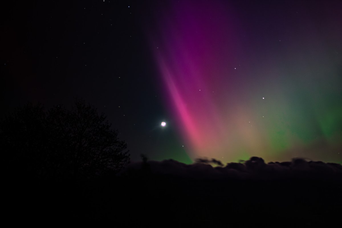 Evan Fisher tweet media