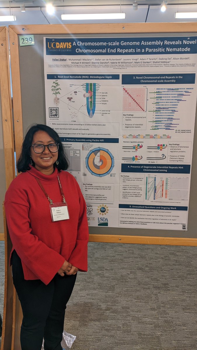 I had a great time presenting my poster at biology of genomes 2024 conference. #Nematodes are severely underrepresented and to tell the world how fascinating they are and how they go beyond the C. elegans realm was worthwhile. #bog24