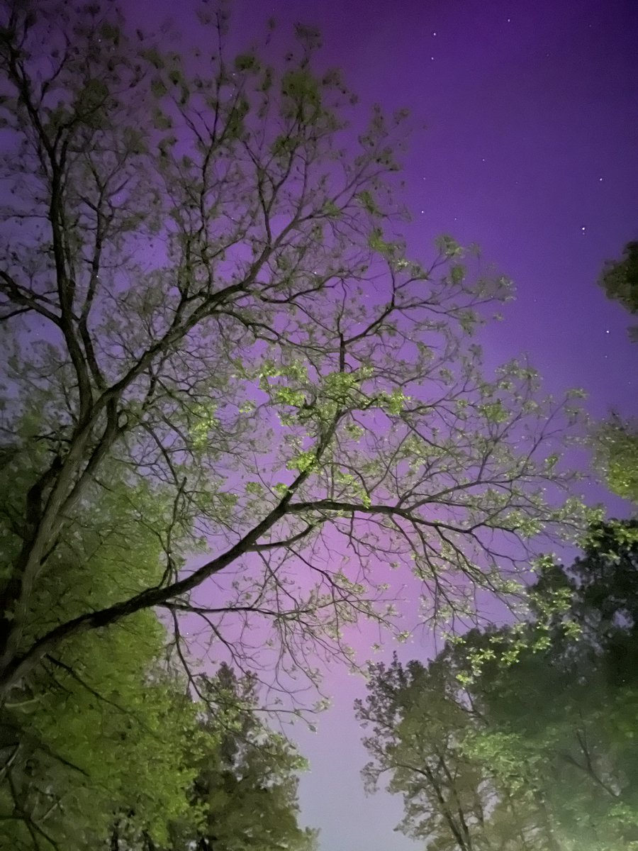 The aurora in Ann Arbor last night