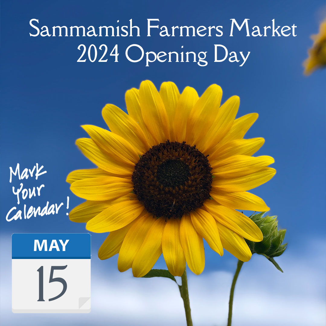 Mark your calendar! Opening day for the 2024 #SammamishFarmersMarket season is Wednesday, May 15th. We're open 4-8 PM. #OpeningDay #FarmersMarket #SammamishLife #ShopLocal