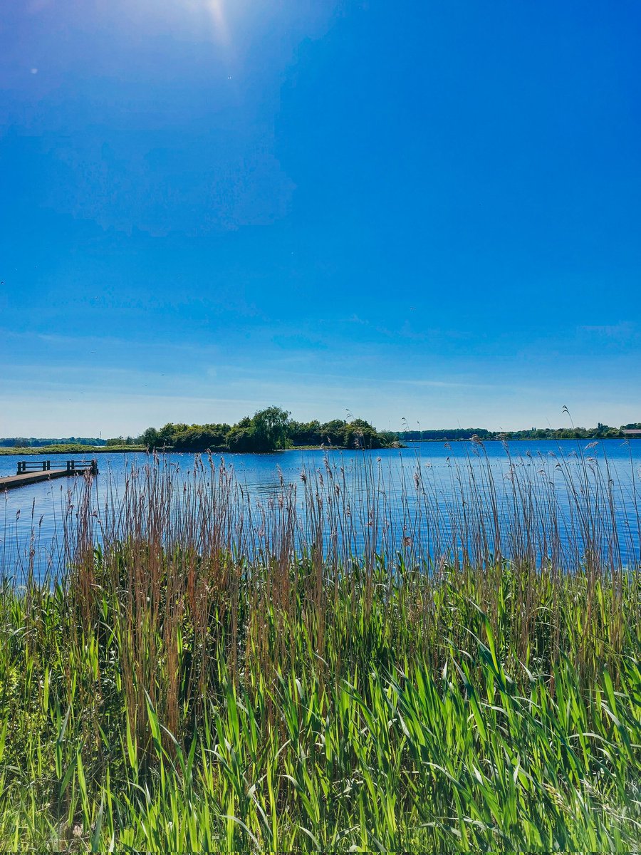 #water #grass #waterside #green #blue #saturday #afternoon #sun #sunny #spring #netherlands #europe