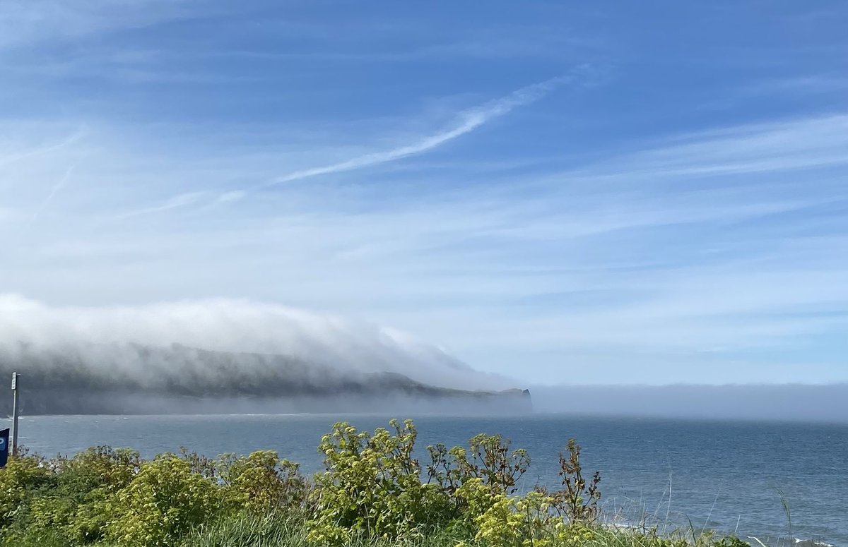 The sea fret at Sandsend was beautiful this afternoon - quite magical.
