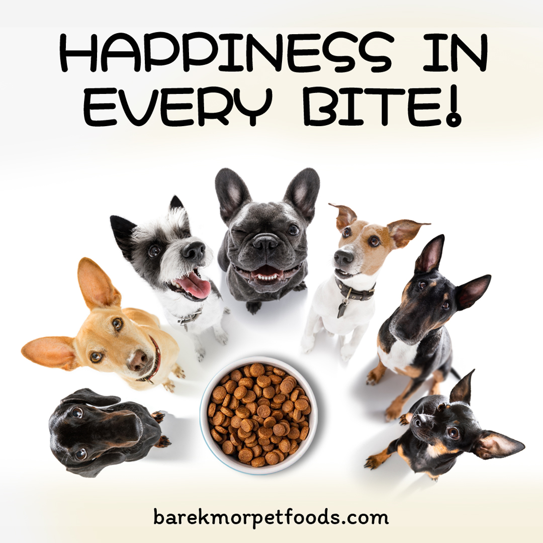 Check out our website for a variety of pet food recipes designed to keep your furry friend happy and healthy! Explore now!⁠
⁠
🌐 l8r.it/kpqa⁠
⁠
⁠#barekmorpetfoods #PetParents #dognutrition#catfood #dogfood #cats #cat #petshop #petfood #catlovers