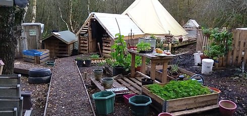 When lockdown hit, it changed everything, we ended up on the road for 3 years living here there and everywhere, we even lived in a forest for about 8 months, it was an overgrown mess but this is what I built out of free wood, pallets mainly! What an adventure it was 👍
