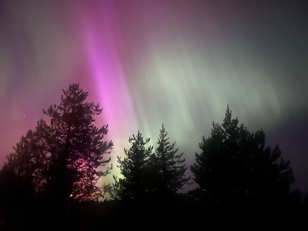 JustinTime4it.sol tweet media